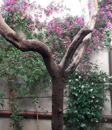 Hotel I' Fiorino Montelupo Fiorentino